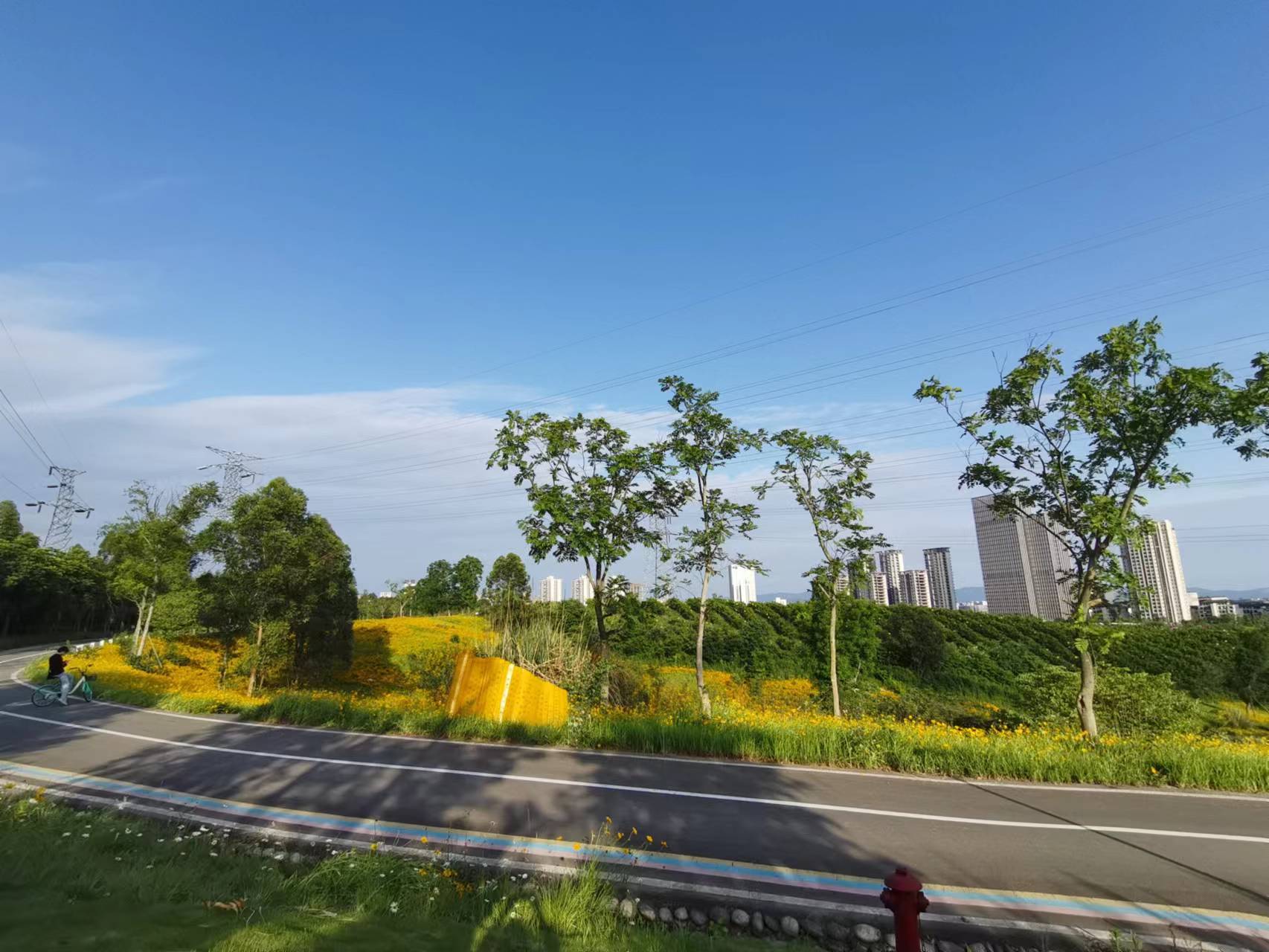 天府新区天府花香谷,成都天府新区花谷