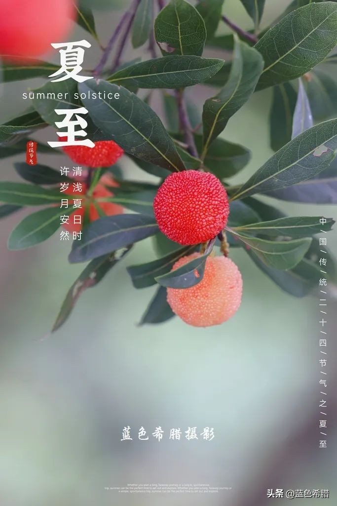 你好夏至愿一切美好都如夏而至,夏至已到愿所有美好如约而至