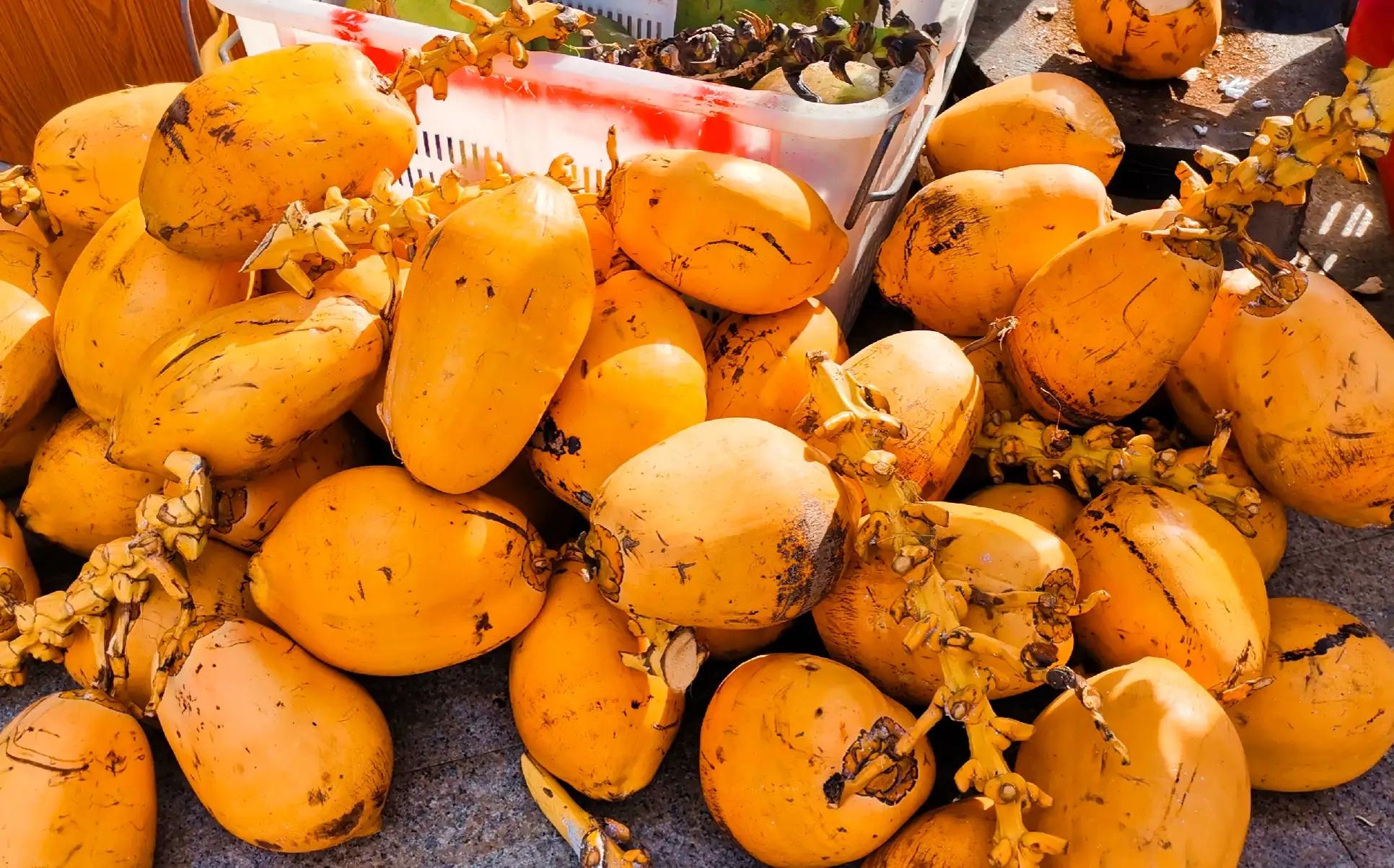 兴隆热带植物园攻略,兴隆热带植物园一日游