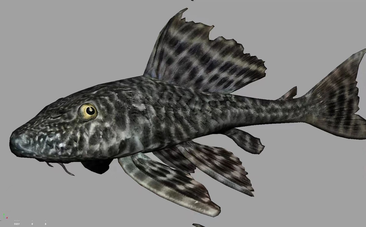 外来入侵水生动物福寿螺,外来水生生物入侵措施