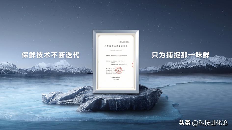 大国品牌tcl全球领先之道,大国品牌tcl凭何实现逆袭增长