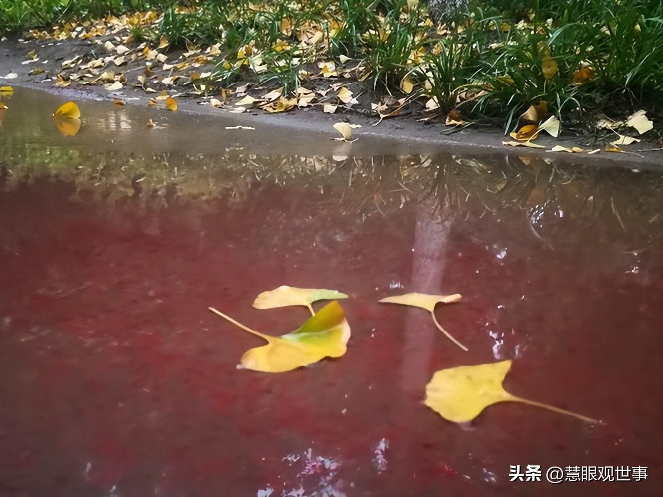 自然现象的古诗词,学生必背古诗词41到60句