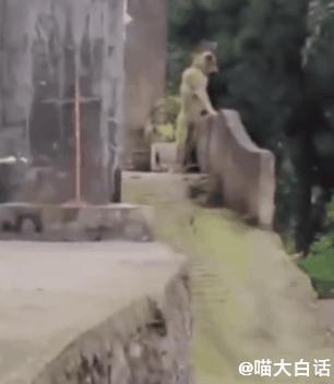 “男票打篮球裤子被队友扒了...”哈哈哈哈救命一整个社死了