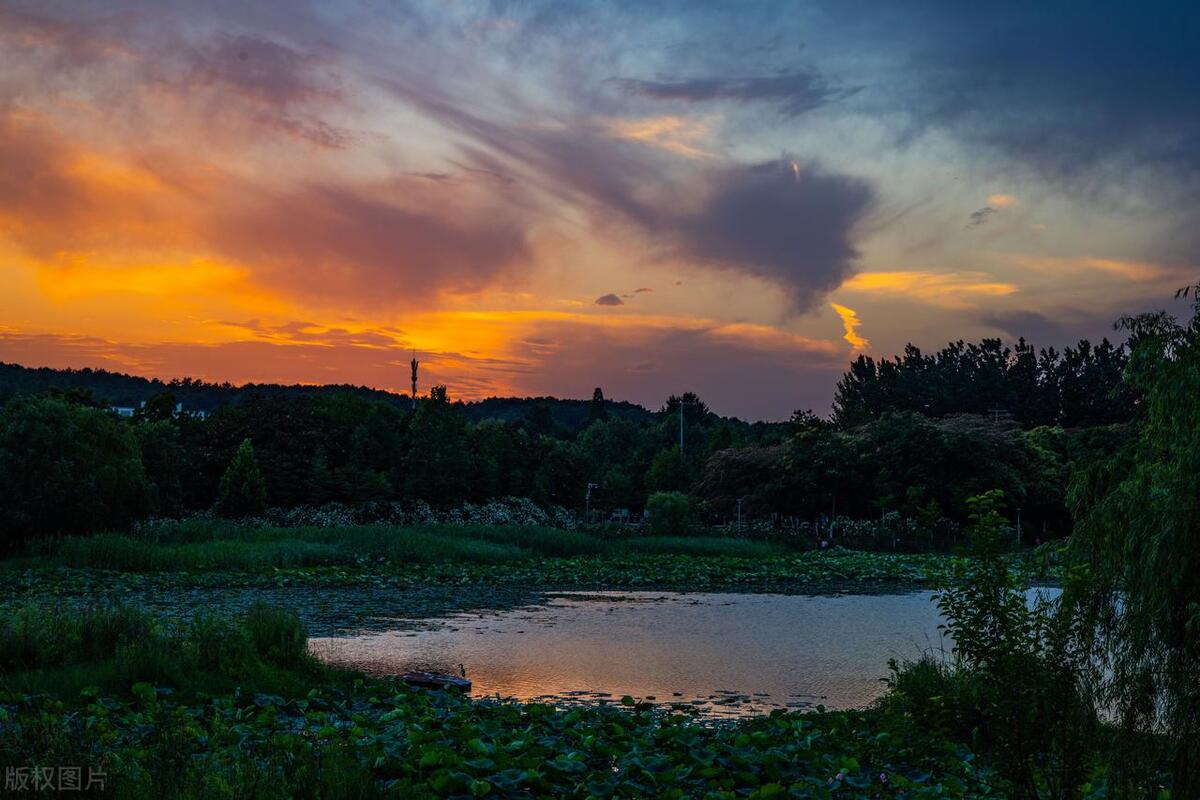 合肥最美公园在哪个区,合肥有哪些公园值得一去