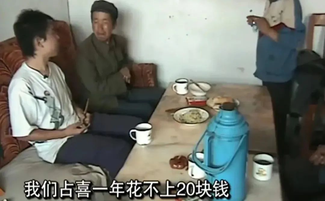 变形计中逆天改命的孩子,变形计17岁少年成富一代