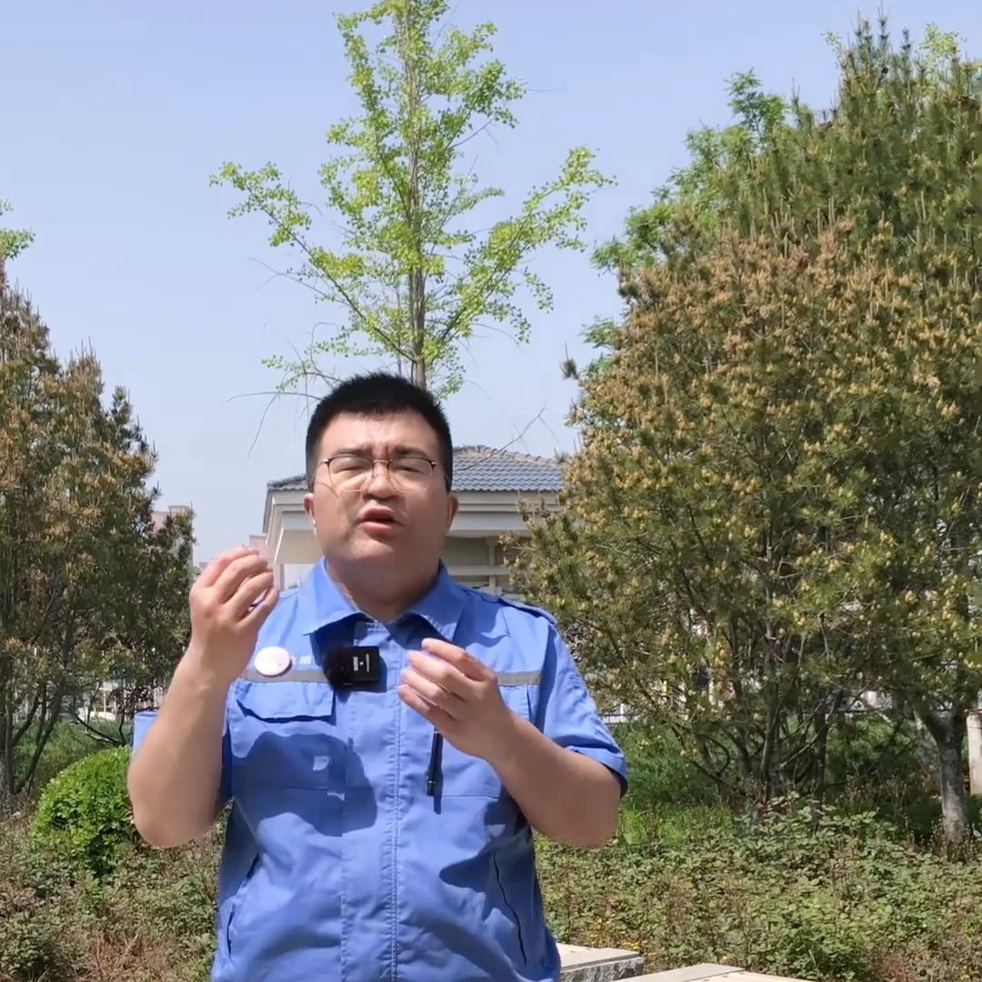 北京车牌公司摇号都需要什么条件 (北京公司摇号车牌需要什么条件)