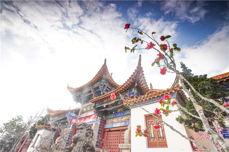 新昆楚大高速楚雄昆明入口,新昆楚大高速楚雄段