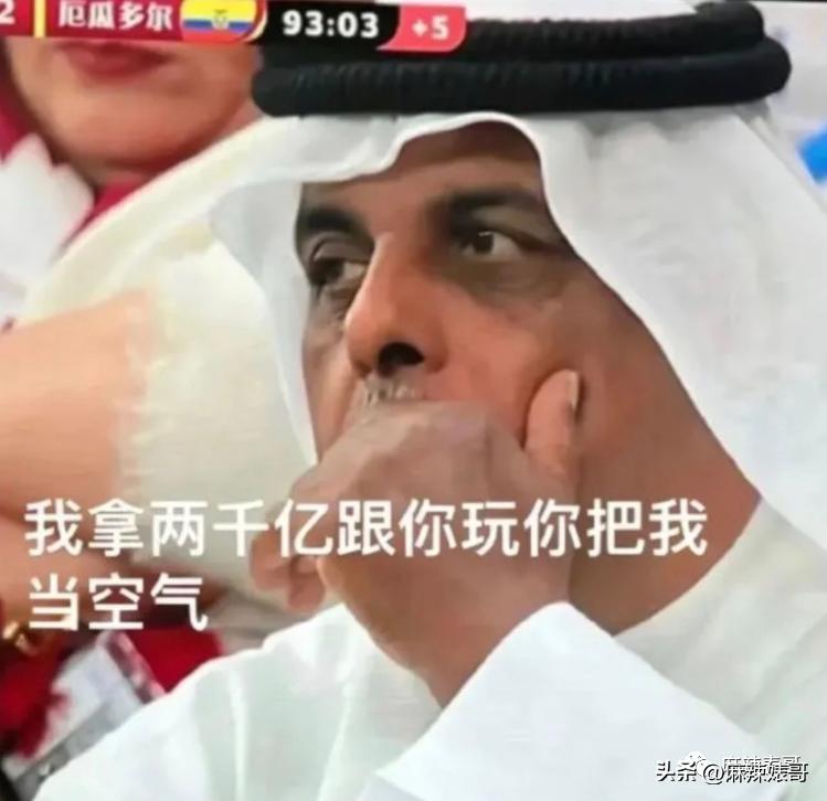 金晨模仿卡塔尔小王子自拍,金晨模仿卡塔尔王子自拍引热议