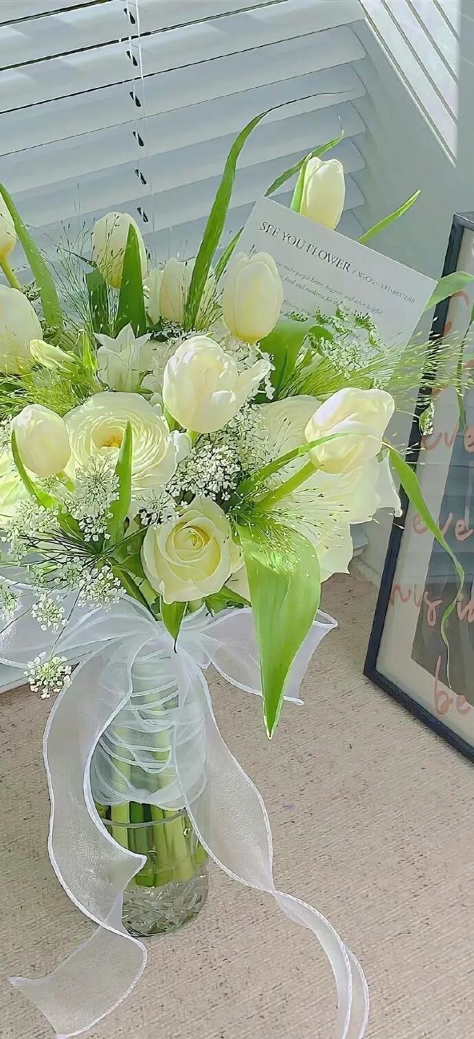 上班励志高清壁纸4k全屏电脑壁纸,黑鲨壁纸动态壁纸高清全屏90帧