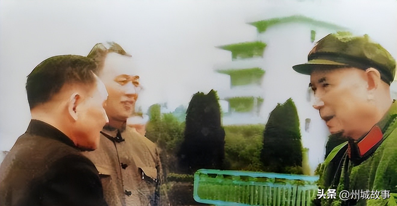 从红三军团走出的将帅名录全集,从红二十五军走出的将军