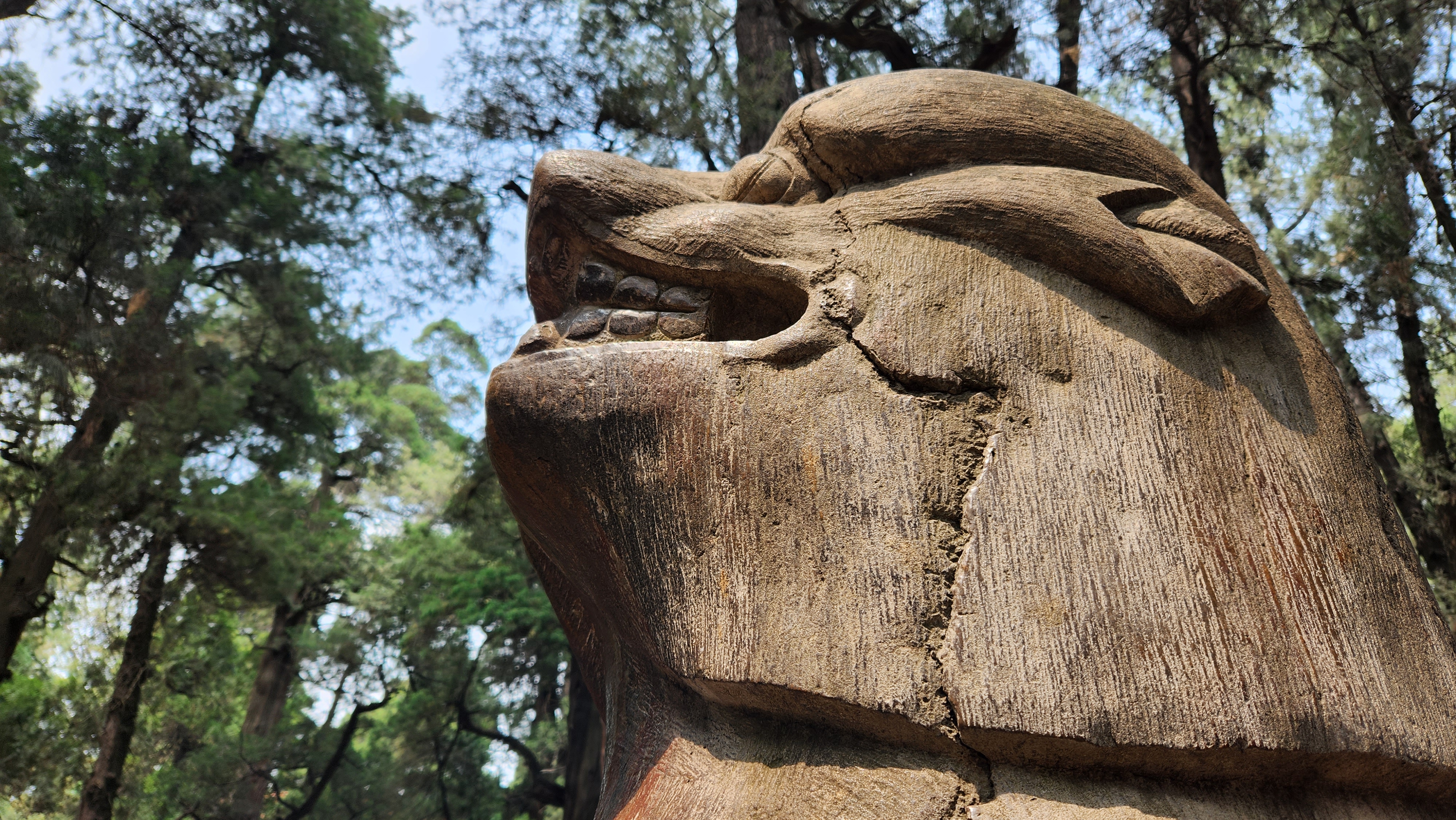 灞变笢鏇查槣娓稿涔嬫梾,鏇查槣娓稿鏈夋剰鎬濆悧