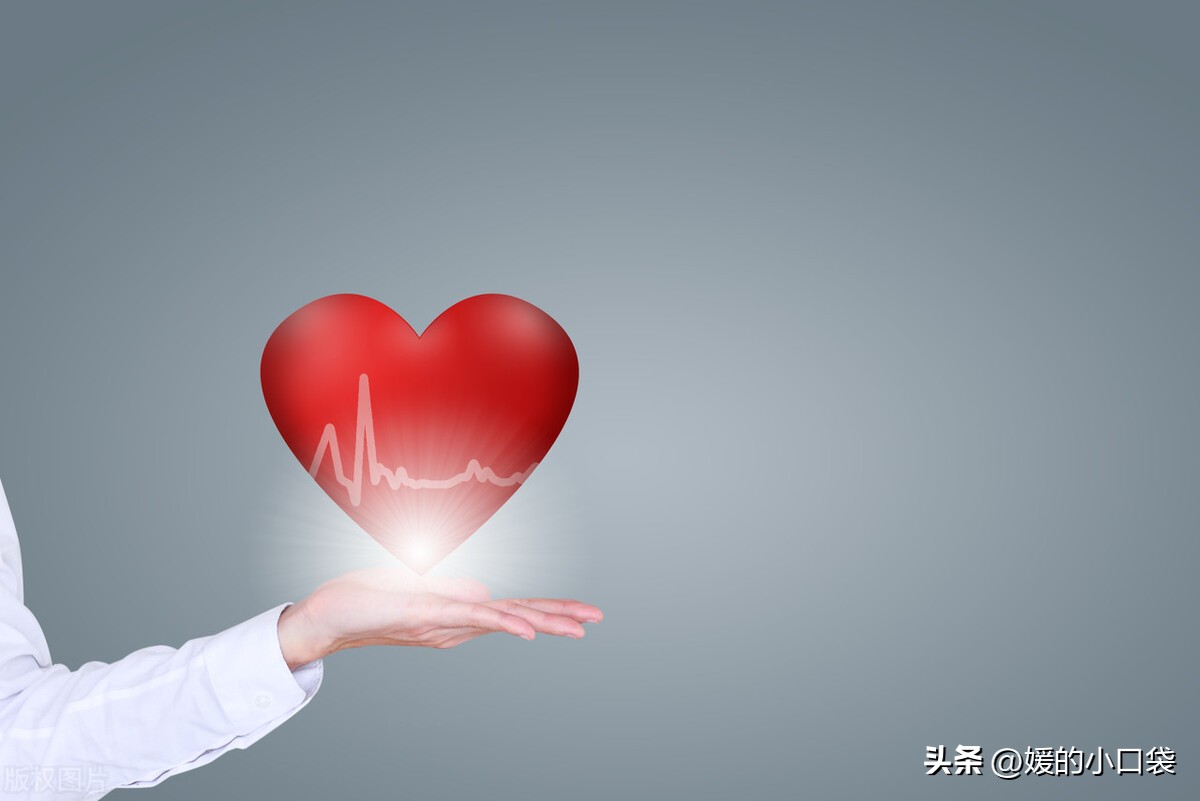 猴子能吃橙子吗,猴子听说水果含有丰富的维生素c