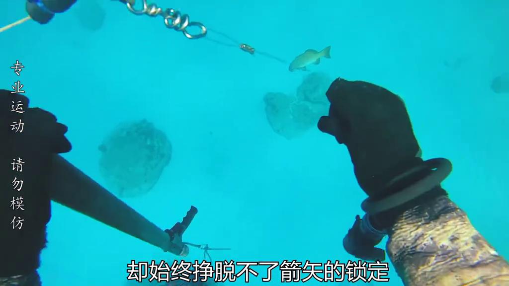 水下能见度3-5米潜水体验感怎么样,能见度20米的海