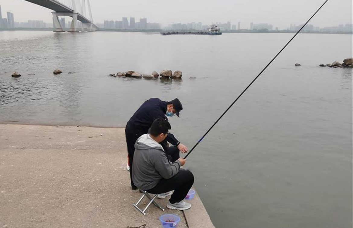 男子放生鳄龟事件,男子放生鳄鱼龟