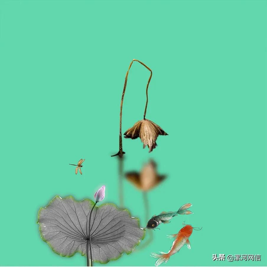 漯河风景摄影展,漯河市近几年的书画展