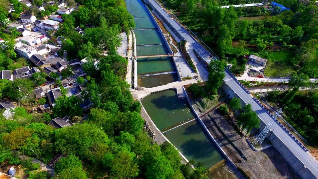 “创卫”开局见成效美丽陇南款款来——我市创建国家卫生城市暨城乡环境卫生整治工作综述