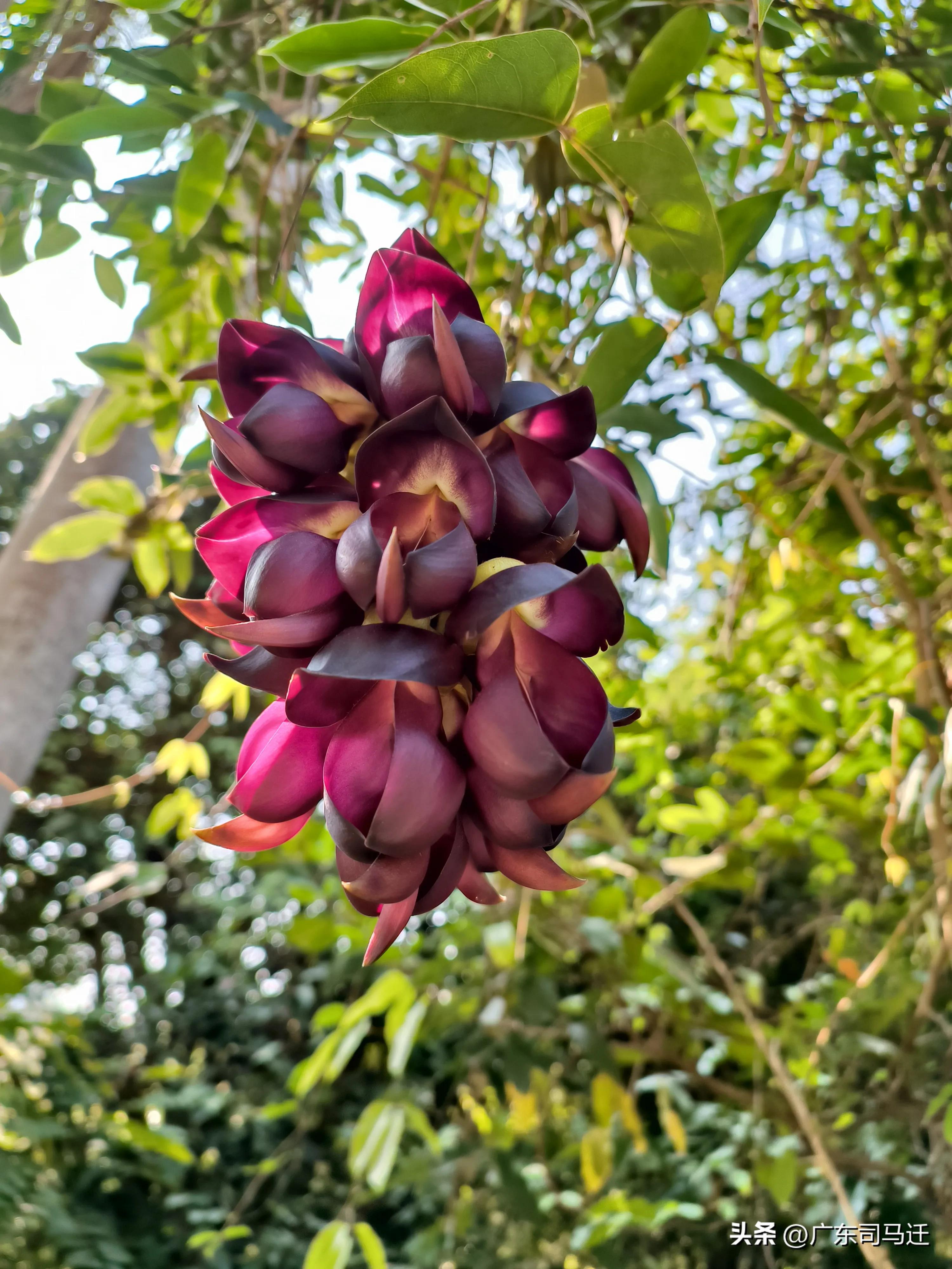 好玩的中山公园,中山公园这儿真美