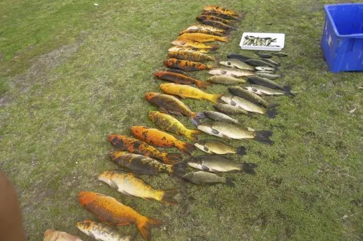 婢虫床椴ら奔娉涙互鎴愮伨瑙嗛,涓夋潯澶ч奔鍫典綇娌抽亾