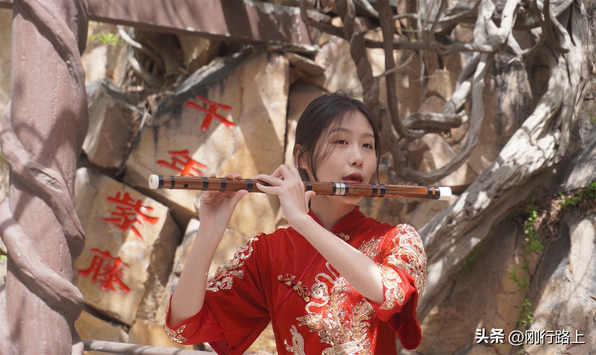 南山千年紫藤怎么走,南山千年紫藤观赏