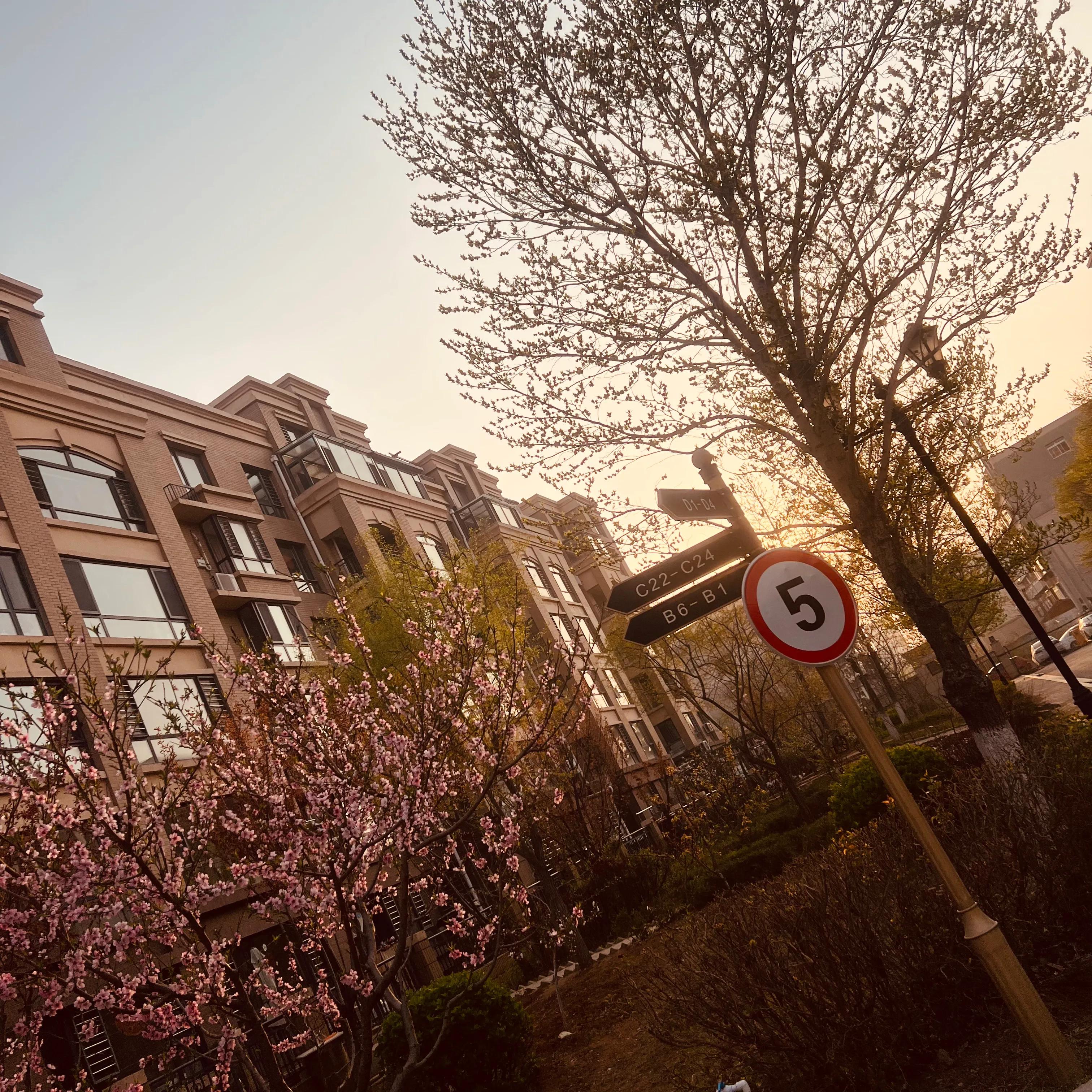 传统文化最基本的价值观,社会主义价值观的基本内容