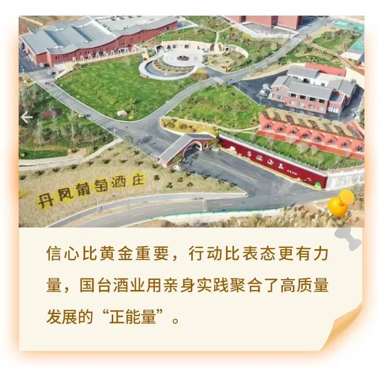 落魄的凤凰不如鸡对吗,落魄的凤凰不如鸡电视剧