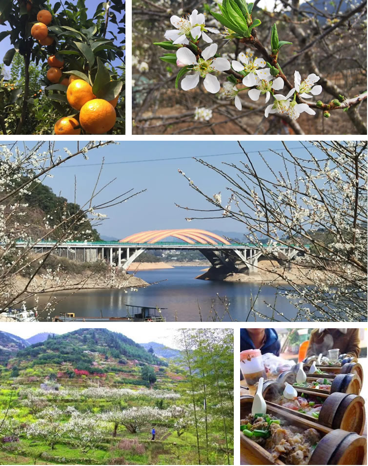 从化赏花旅游攻略景点必去,从化梅花节自驾游路线图最新