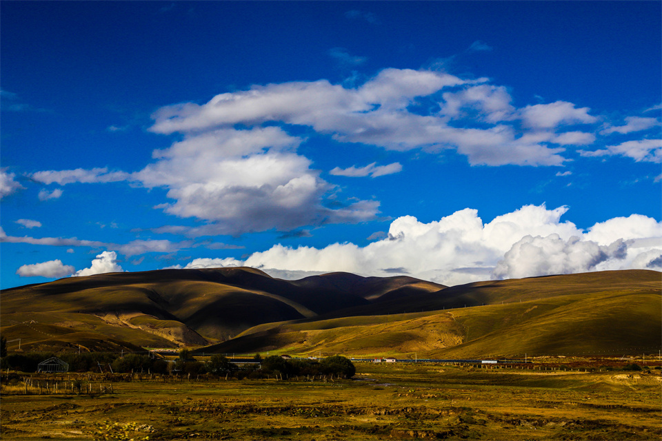 遇到总让你干活的同事你怎么办,对你很好的领导你怎么回报
