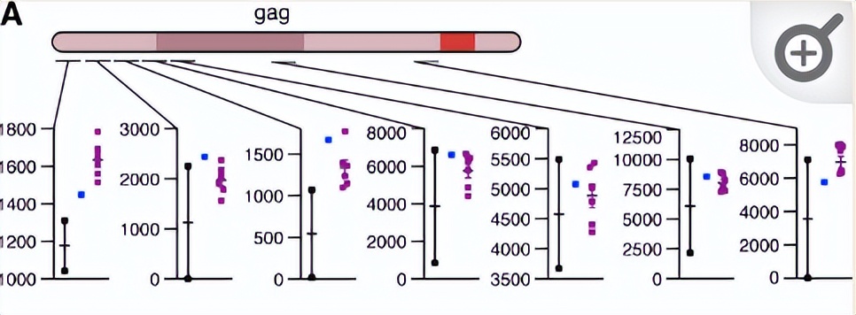 NPF2.8促进因子对拟南芥花粉表面黄酮醇糖苷积累作用的研究