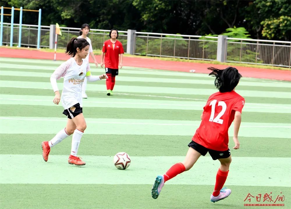 莆田百年白玉兰盛开,莆田花开花落