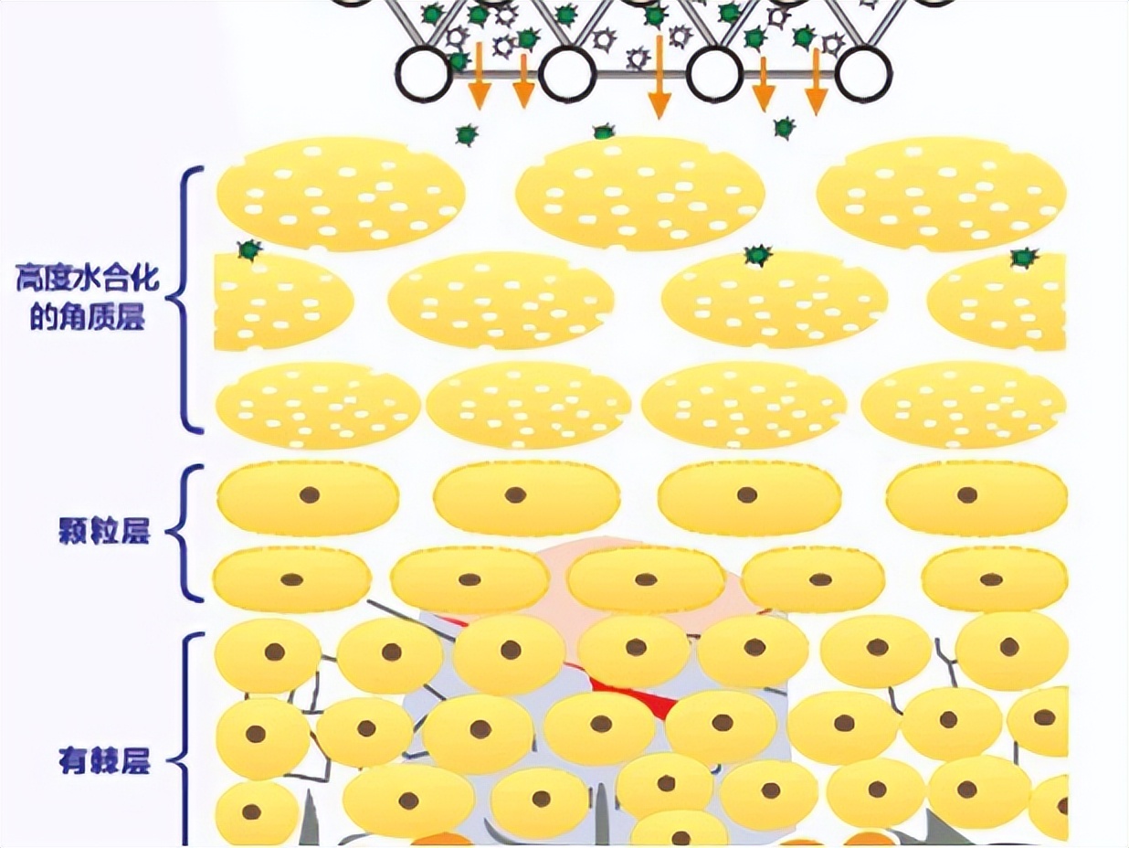 温和清洁面膜推荐去黑头收缩毛孔,深层清洁面膜推荐去黑头收缩毛孔