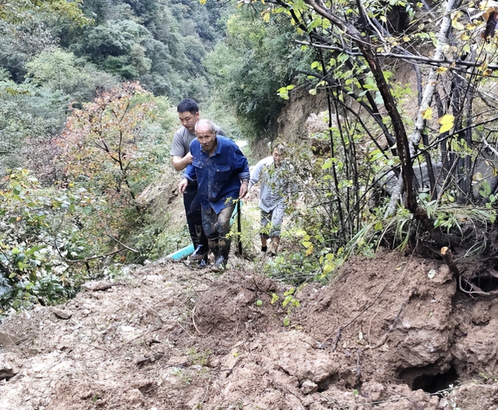 国网凤县供电公司：麝过青山草木香——国网凤县公司驻留凤关镇沙江寺村工作队乡村振兴工作手记
