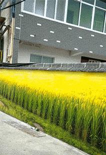 走路走累了坐下歇歇,走路累了继续走就不累了