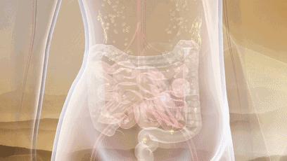 内衣品牌浪漫春天,内衣薄款浪漫春天无钢圈