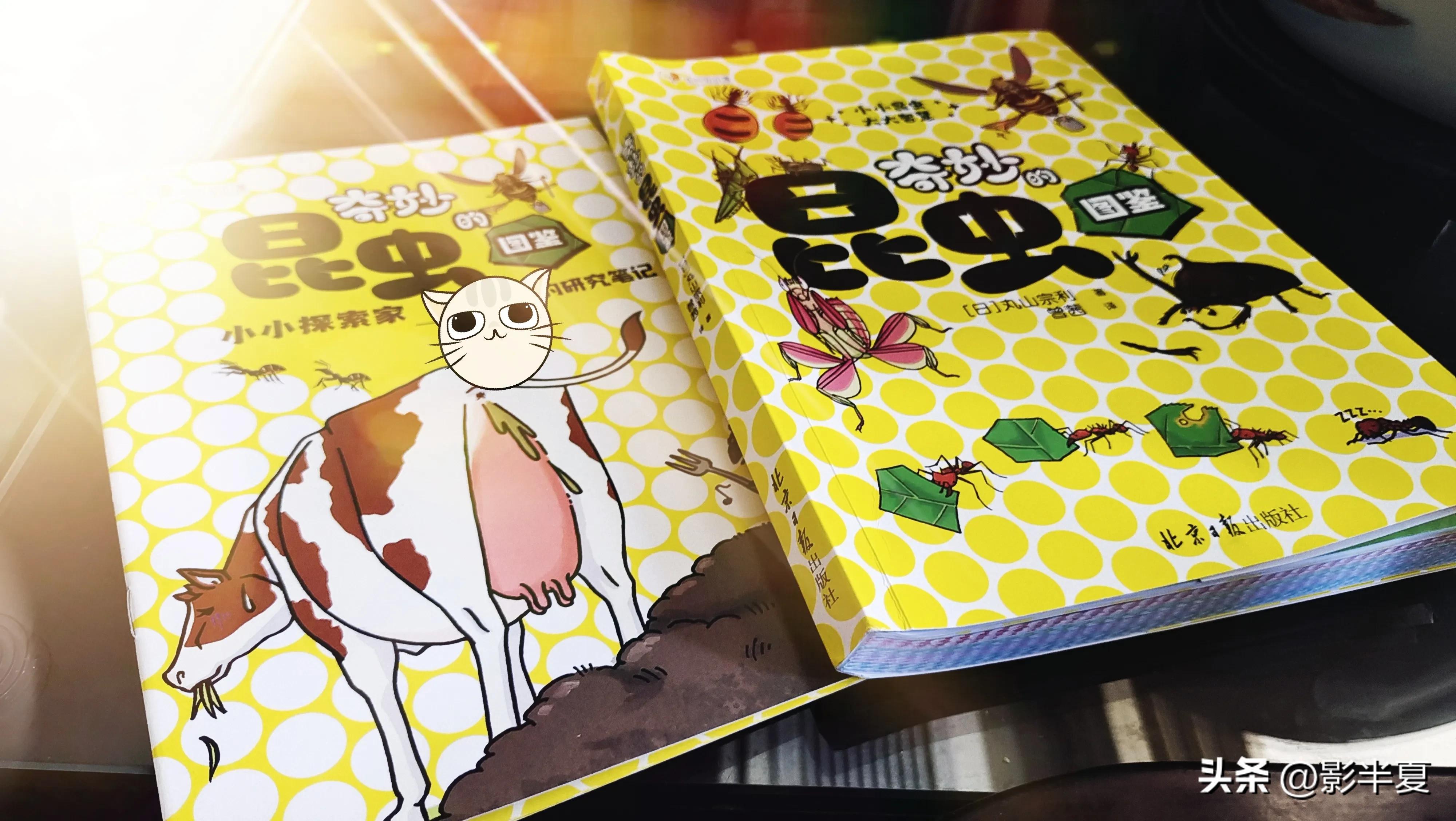 关于昆虫图鉴的书,神奇的昆虫书