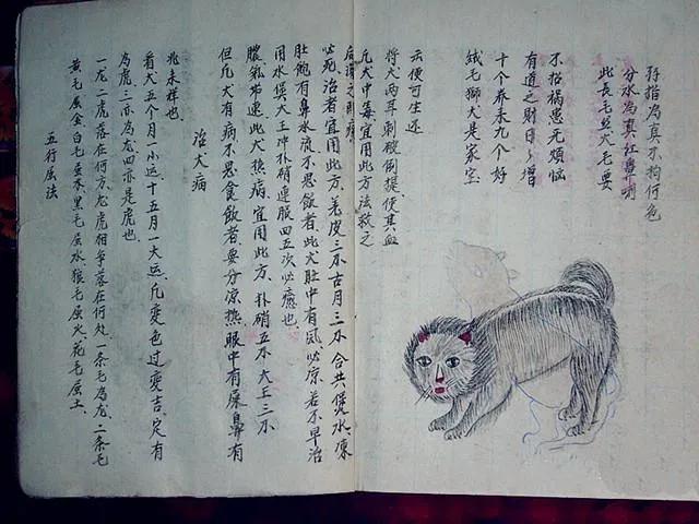 千古流传奇书都有哪些经典,千古难得一见的绝世奇书