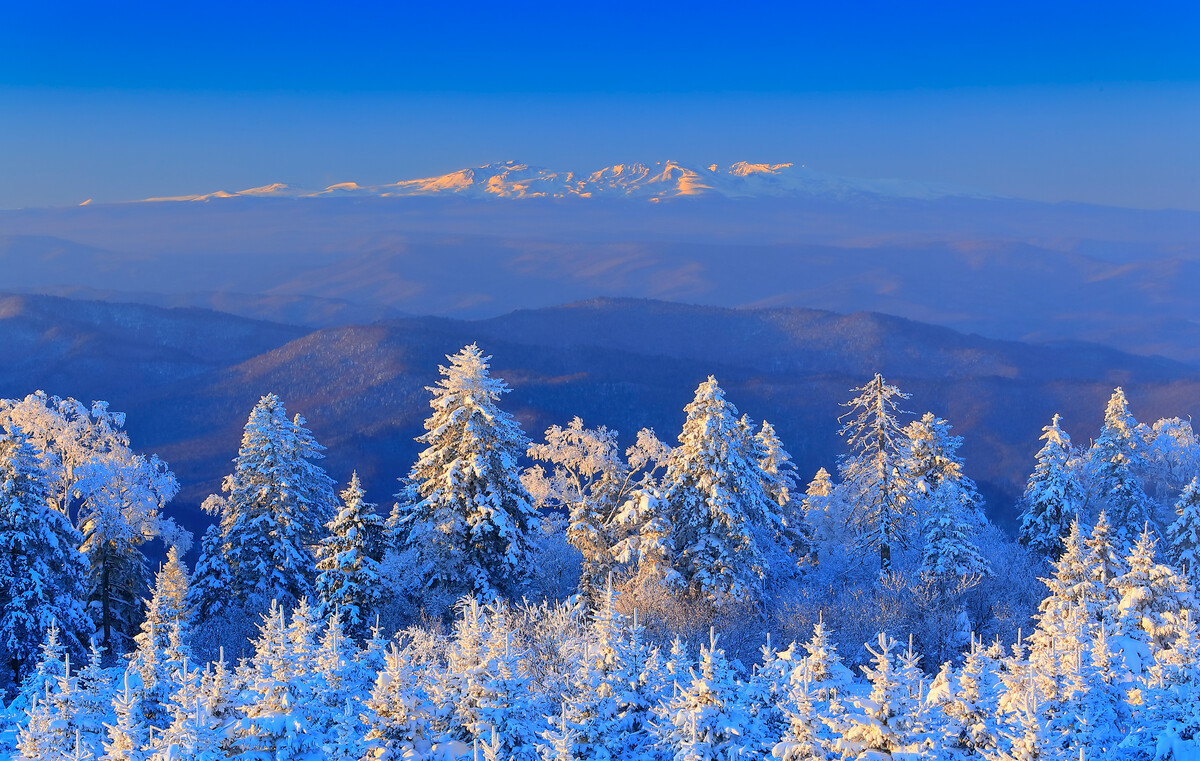 真实录像1945年日本投降,真实录像1945年日本拒绝投降