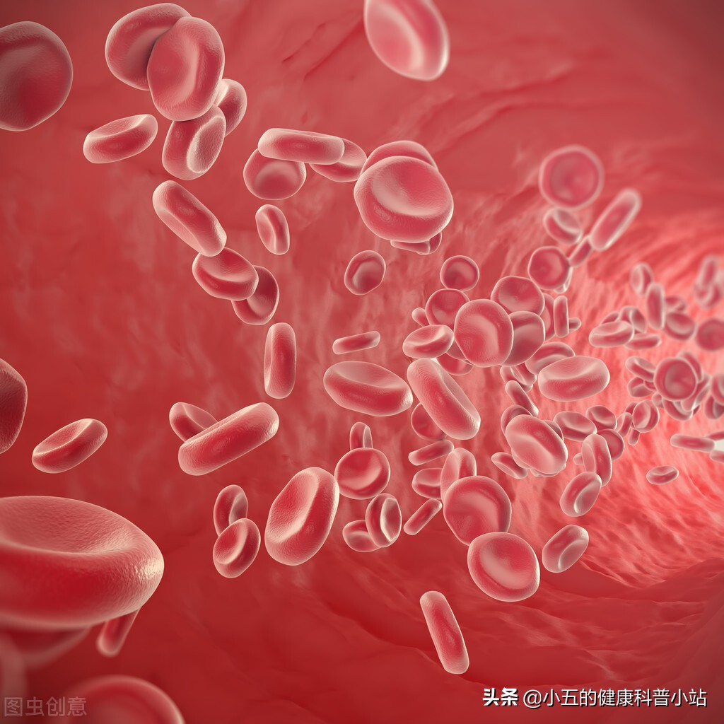 下肢静脉曲张药物,老年人下肢静脉曲张怎么治疗最好