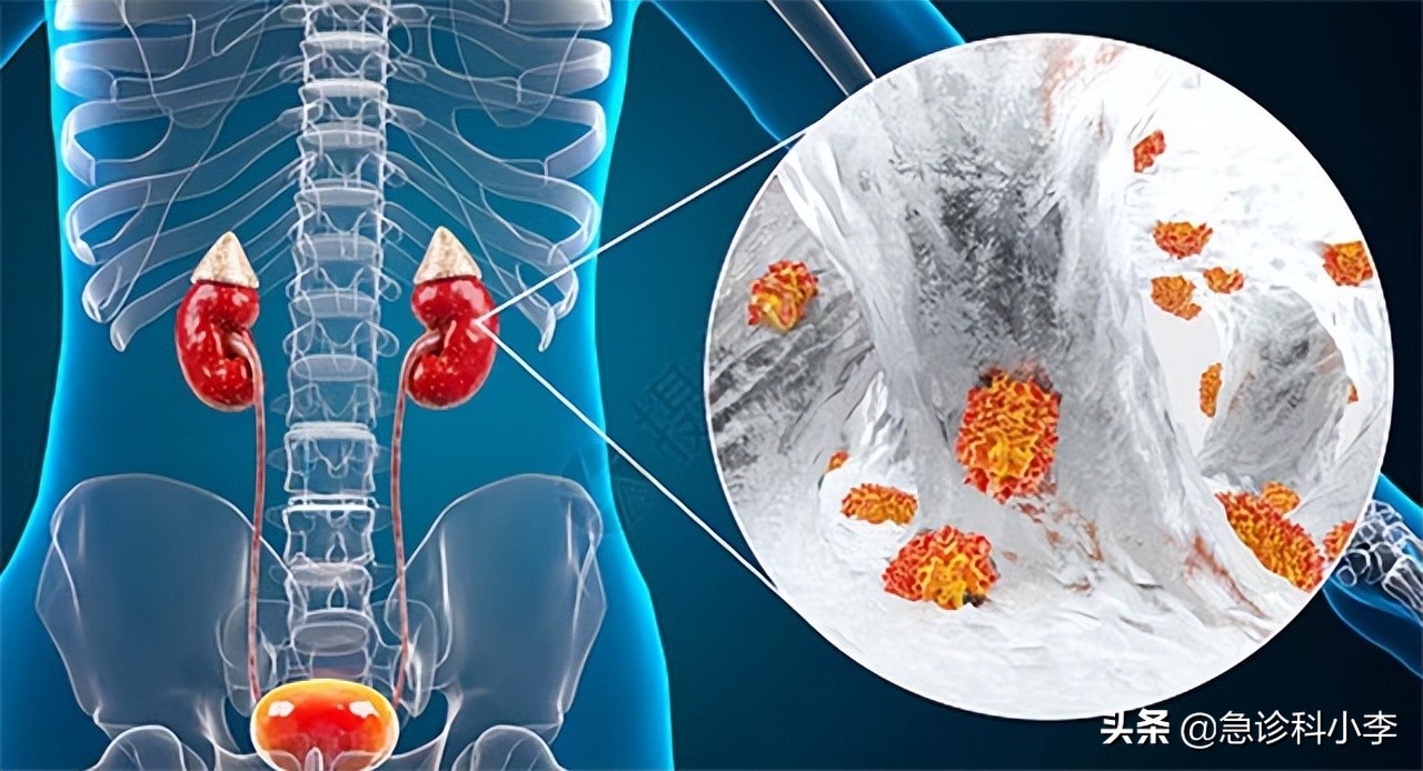 三种中药已经被禁用,六种已被叫停的家庭常用药