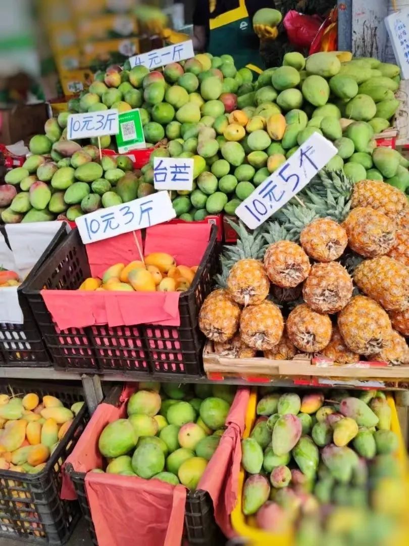 海南环岛自驾游及住宿,海南环岛自驾游美食攻略详细行程