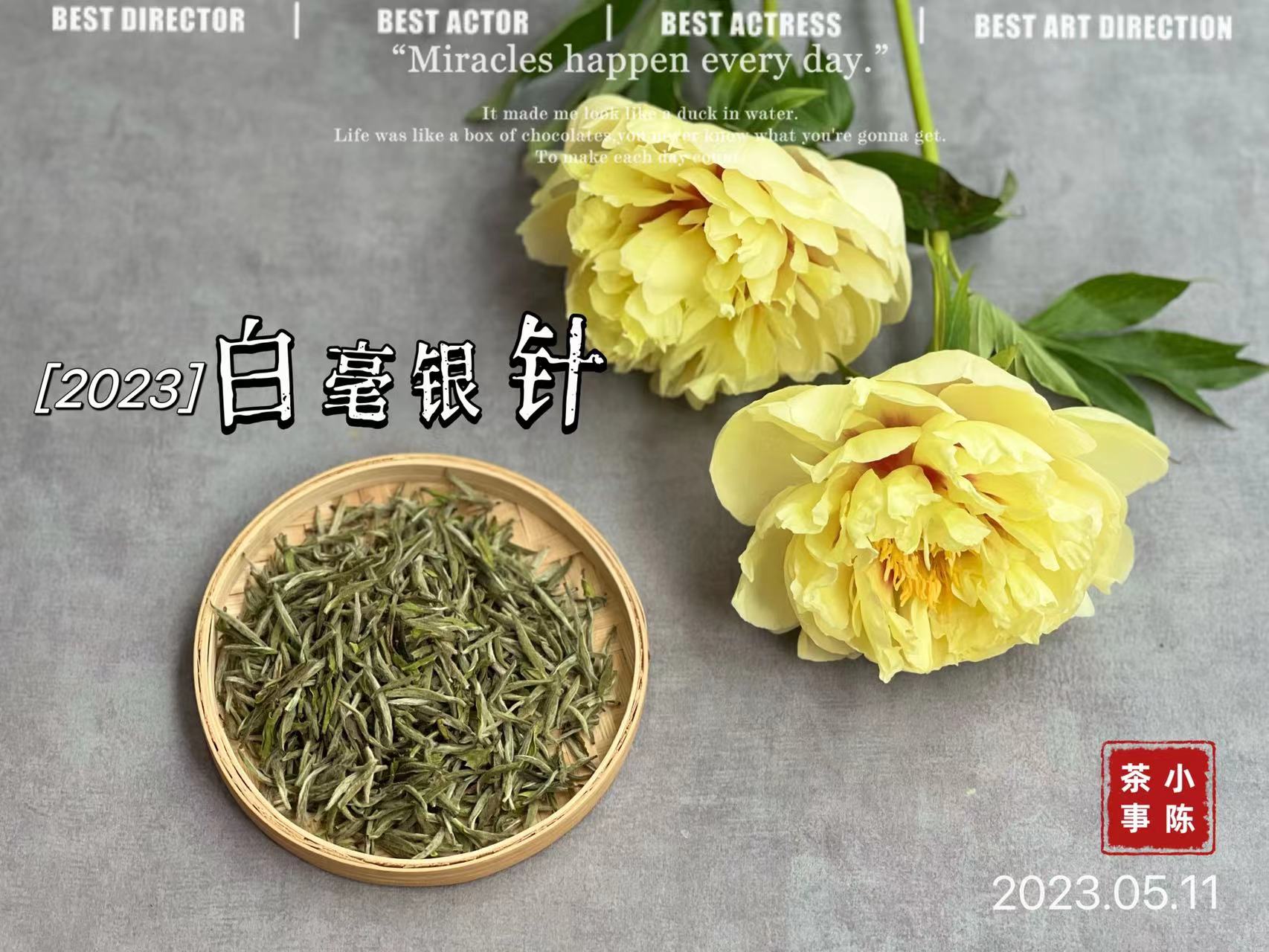 白茶白毫银针与白牡丹哪个好,白茶是买白毫银针还是寿眉牡丹王