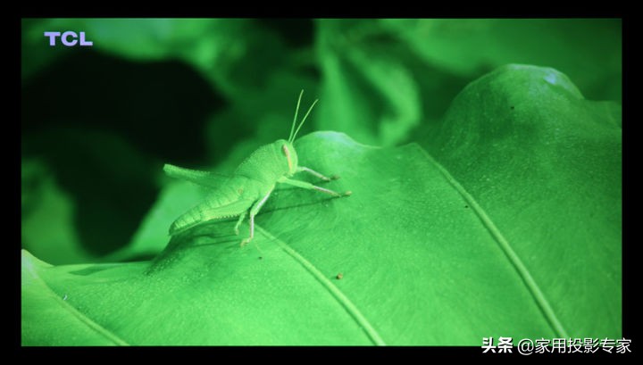 优派q20pro,优派q20和q20pro区别