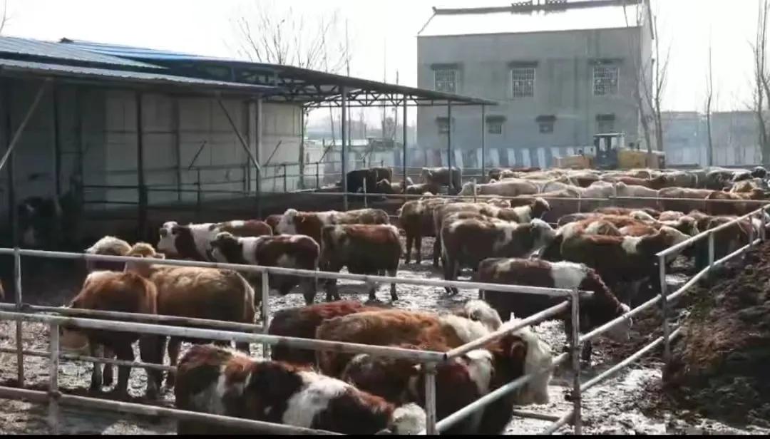 鍏ㄥ姏鎷肩粡娴庡彇寰楀紑闂ㄧ孩,鍏ㄥ姏鎷肩粡娴庡疄鐜板紑闂ㄧ孩婕旇