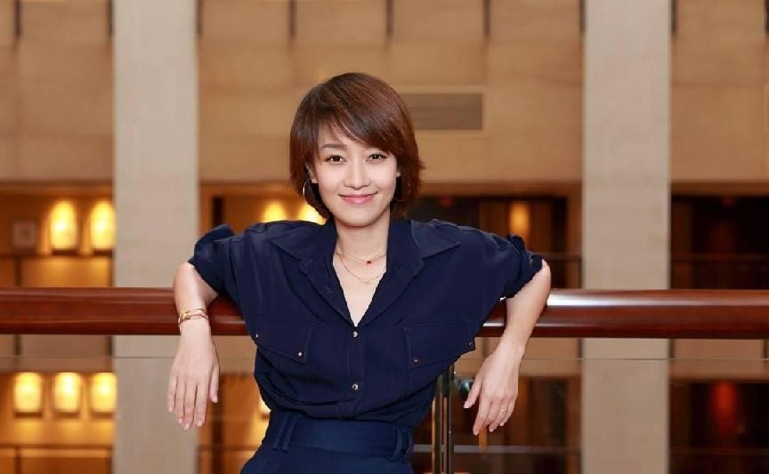 龙城马伊琍剧情,连续剧龙城马伊琍