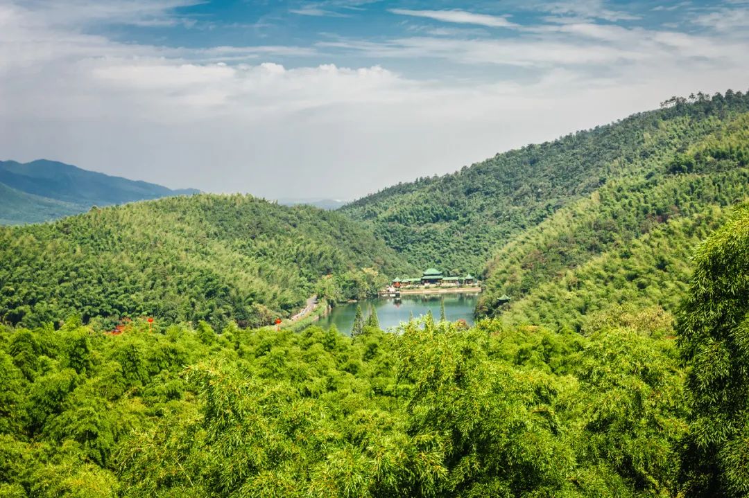 我去竹林避暑了，夏天过完再通知我！