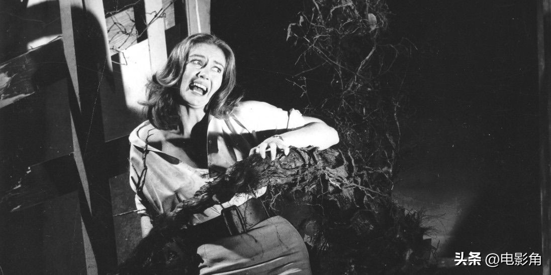 恐怖怪兽电影大全免费观看,恐怖植物电影