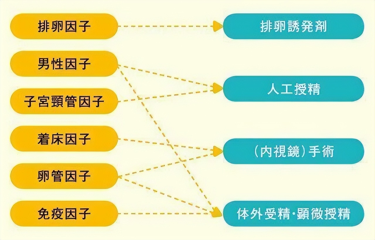 isei,日本不孕不育干细胞
