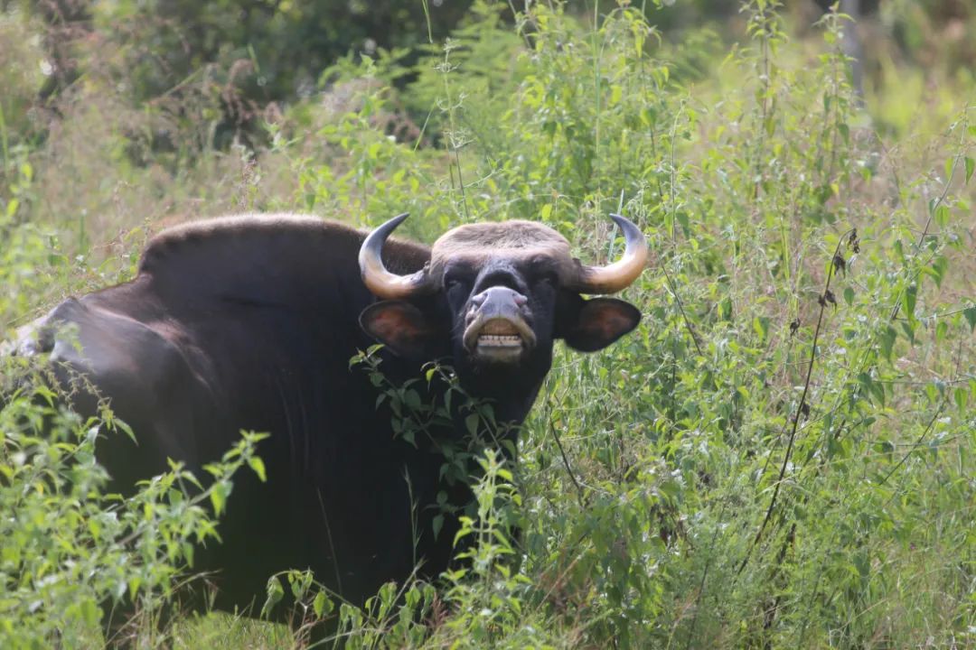 昆明七彩云南怎么样,七彩云南避暑家园