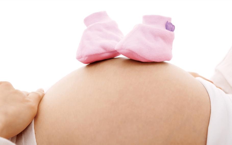 黄牛预产期准确计算方法,母羊预产期的计算方法