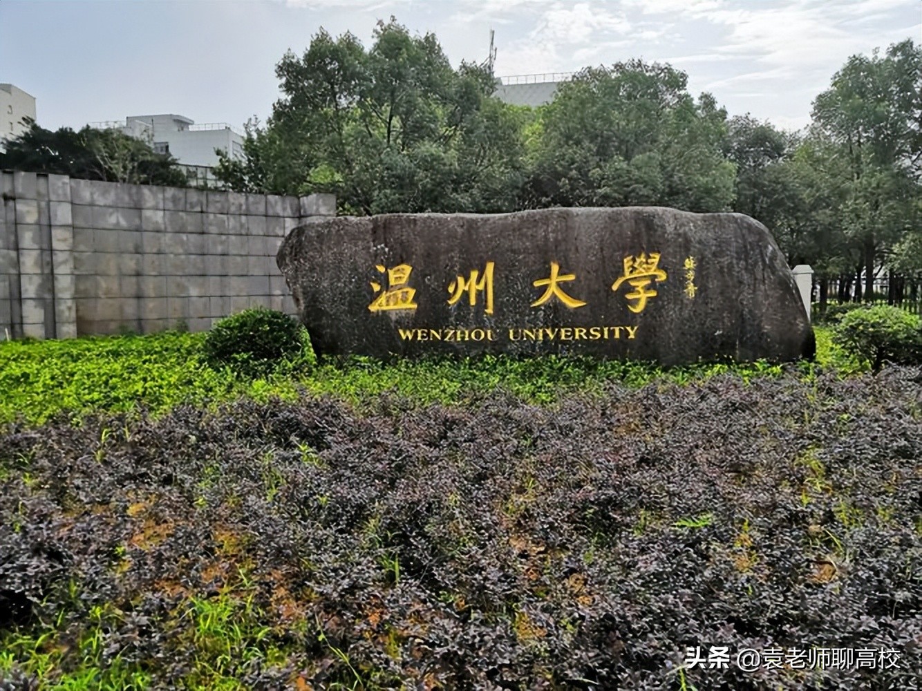 浙江工业大学与宁波大学哪个好,宁波大学和温州医科大学