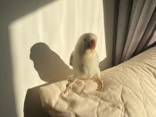 在这个内卷的时代如何脱颖而出,内卷时代这几条法则帮你找到自我